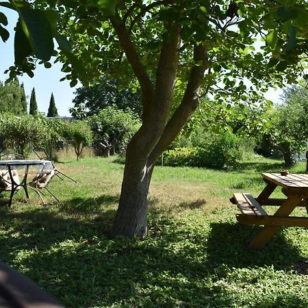 Mobil-Home Sur Terrain Bucolique Hyères Zewnętrze zdjęcie